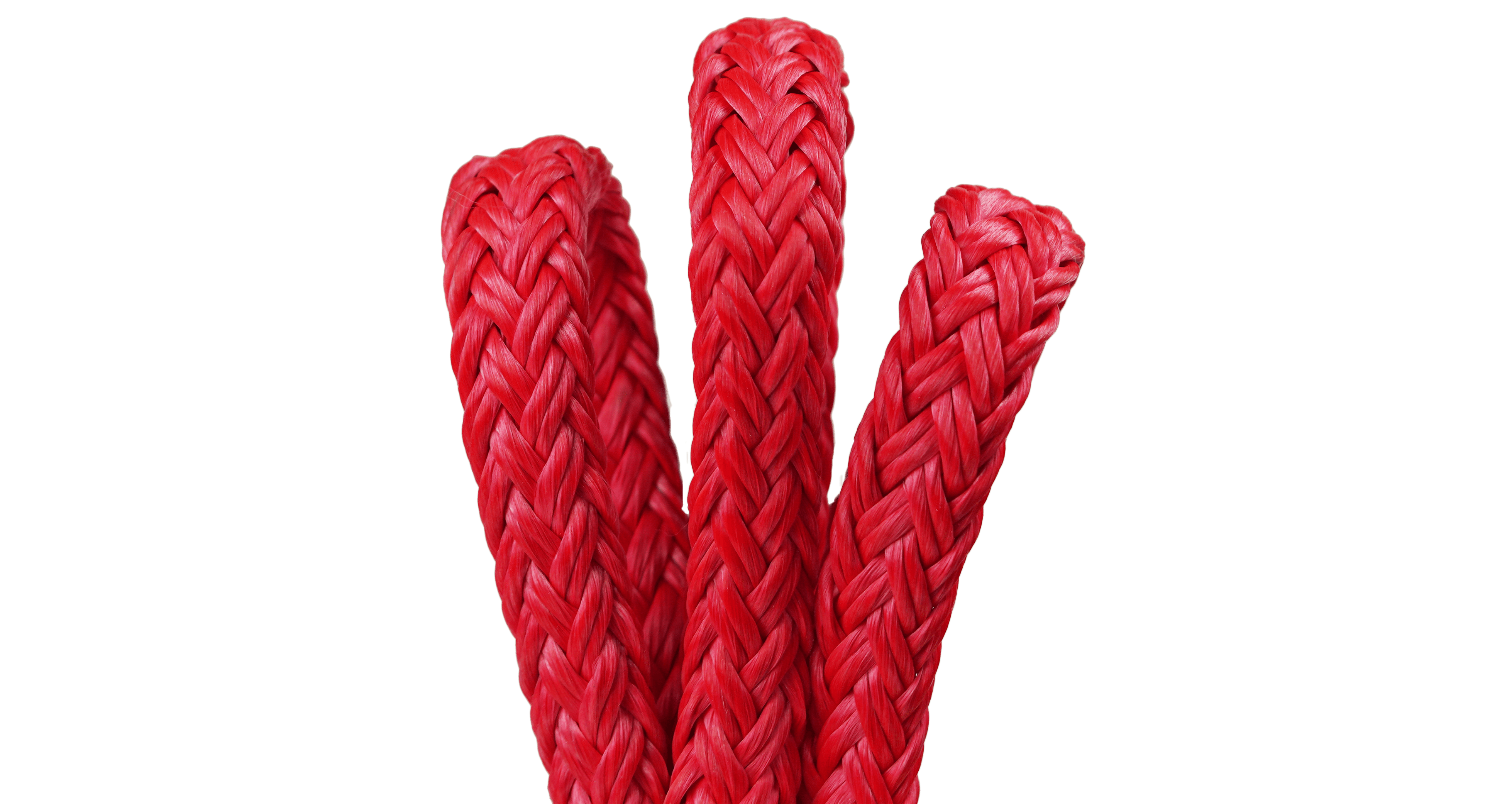 Husky-12 Hollow Braid Bull Rope