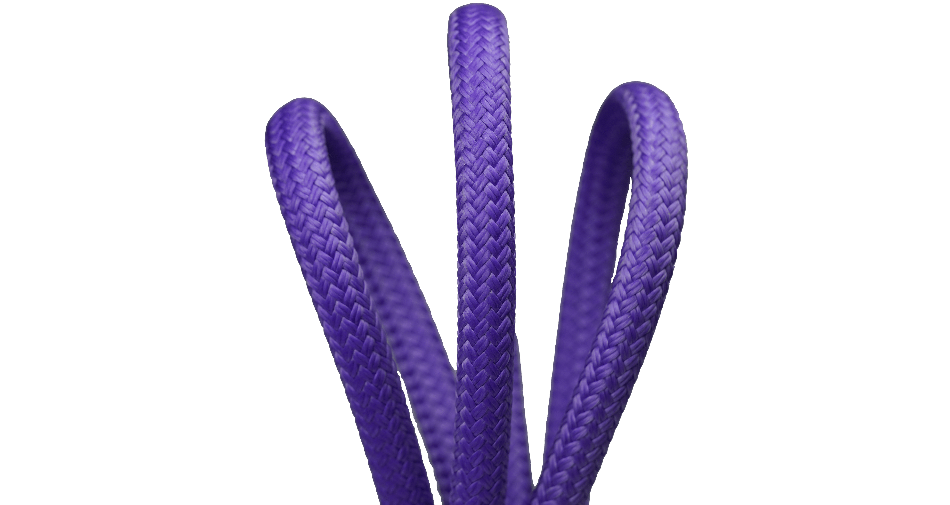 bull rope